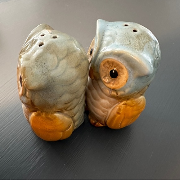 Owl Salt and Pepper Shakers Hand Painted Ceramic Rustic Fall Autumn Decor Colors - Picture 4 of 8